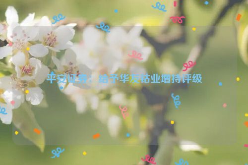 平安证券：给予华友钴业增持评级