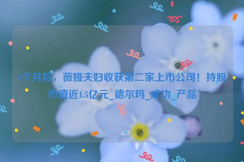 6个月后，薇娅夫妇收获第二家上市公司！持股市值近1.5亿元_德尔玛_成功_产品