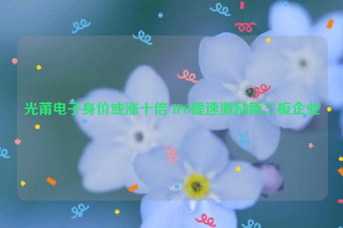 光莆电子身价或涨十倍 IPO提速激励新三板企业