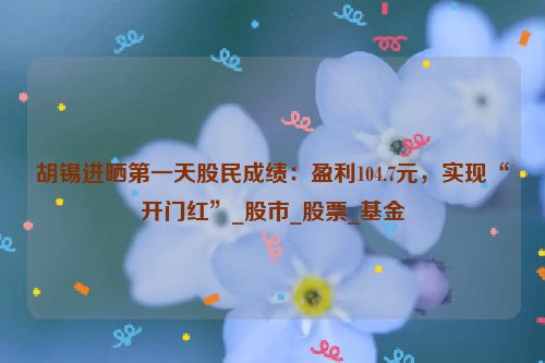 胡锡进晒第一天股民成绩：盈利104.7元，实现“开门红”_股市_股票_基金