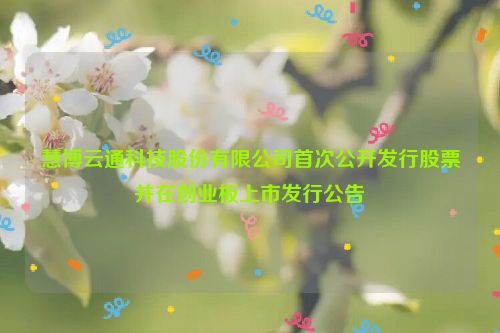 慧博云通科技股份有限公司首次公开发行股票并在创业板上市发行公告