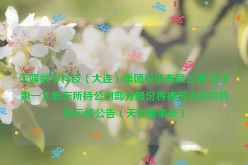 天娱数字科技（大连）集团股份有限公司 关于第一大股东所持公司部分股份将被司法拍卖的提示性公告（天娱董事长）