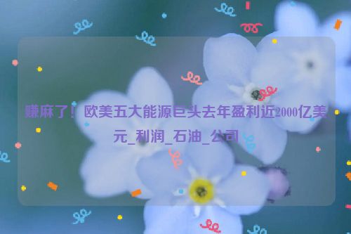 赚麻了！欧美五大能源巨头去年盈利近2000亿美元_利润_石油_公司