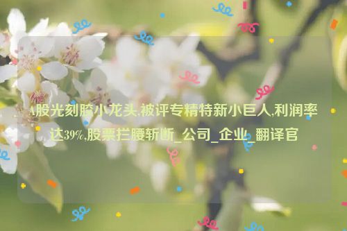 A股光刻胶小龙头,被评专精特新小巨人,利润率达39%,股票拦腰斩断_公司_企业_翻译官