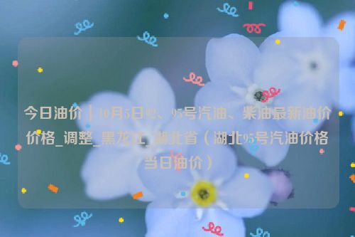 今日油价｜10月5日92、95号汽油、柴油最新油价价格_调整_黑龙江_湖北省（湖北95号汽油价格当日油价）