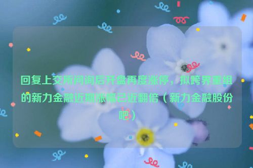 回复上交所问询后开盘再度涨停，拟跨界重组的新力金融近期涨幅已近翻倍（新力金融股份吧）