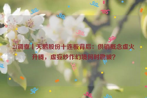 21调查丨天鹅股份十连板背后：供销概念虚火升腾，虚妄炒作幻境何时勘破？