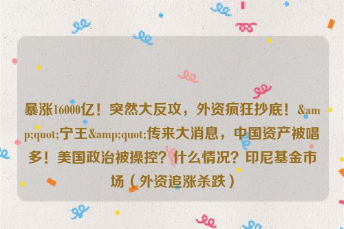 暴涨16000亿！突然大反攻，外资疯狂抄底！&quot;宁王&quot;传来大消息，中国资产被唱多！美国政治被操控？什么情况？印尼基金市场（外资追涨杀跌）