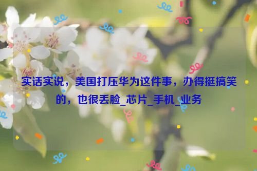 实话实说，美国打压华为这件事，办得挺搞笑的，也很丢脸_芯片_手机_业务