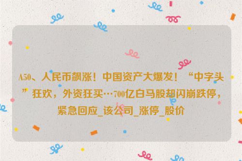 A50、人民币飙涨！中国资产大爆发！“中字头”狂欢，外资狂买…700亿白马股却闪崩跌停，紧急回应_该公司_涨停_股价
