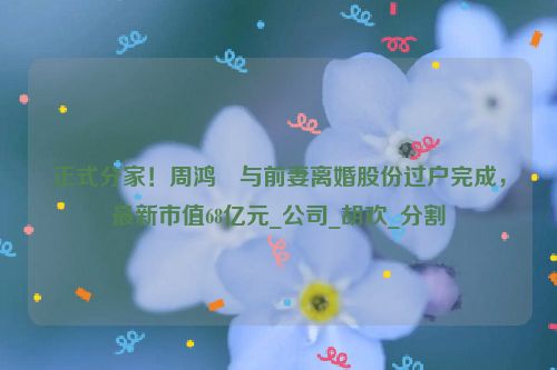 正式分家！周鸿祎与前妻离婚股份过户完成，最新市值68亿元_公司_胡欢_分割