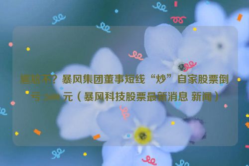 尴尬不？暴风集团董事短线“炒”自家股票倒亏 2600 元（暴风科技股票最新消息 新闻）