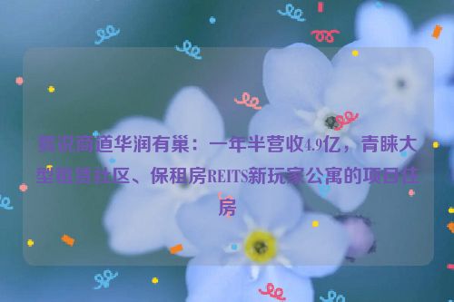 狐说商道华润有巢：一年半营收4.9亿，青睐大型租赁社区、保租房REITS新玩家公寓的项目住房