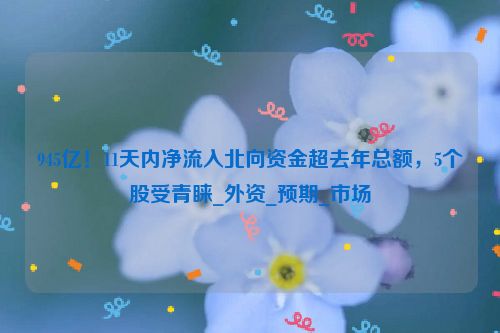 945亿！11天内净流入北向资金超去年总额，5个股受青睐_外资_预期_市场