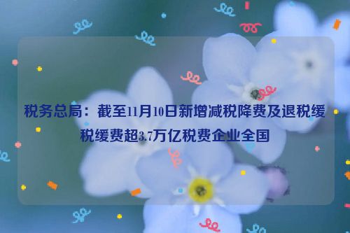 税务总局：截至11月10日新增减税降费及退税缓税缓费超3.7万亿税费企业全国