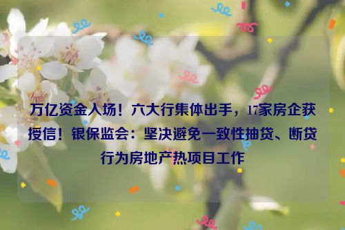 万亿资金入场！六大行集体出手，17家房企获授信！银保监会：坚决避免一致性抽贷、断贷行为房地产热项目工作