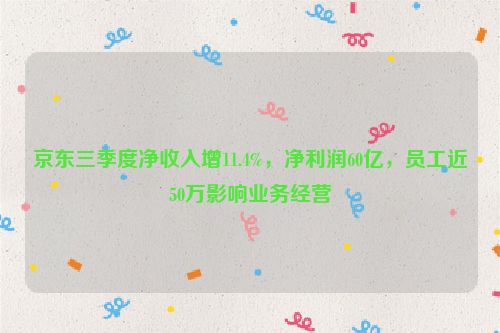 京东三季度净收入增11.4%，净利润60亿，员工近50万影响业务经营